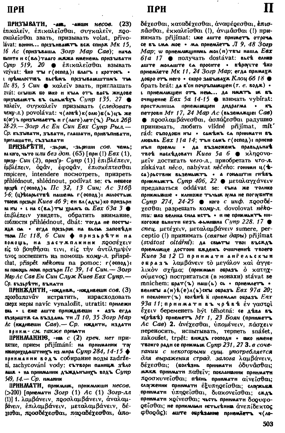 cejtlin 503
